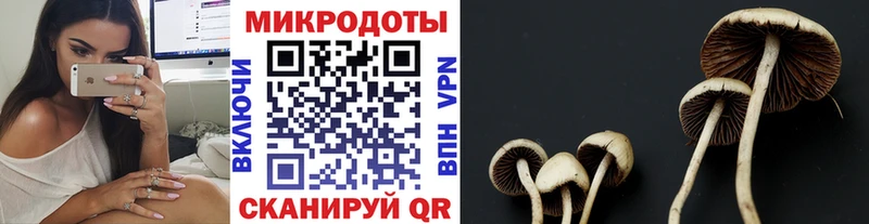 Псилоцибиновые грибы ЛСД  купить наркотики сайты  Михайловка 