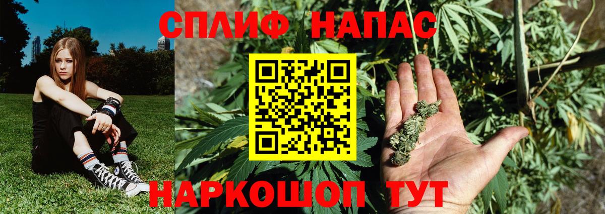 Конопля White Widow  Вход с VPN  Михайловка  Шишки марихуана VHQ  Конопля White Widow 